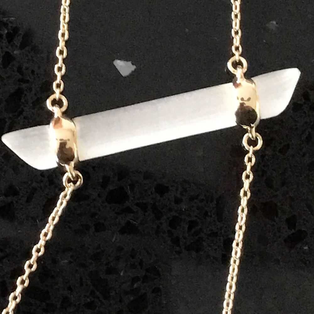 Alexis Bittar Necklace - 2 sided colors!!